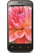 Lava Iris 505