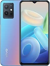 vivo Y55s (2023) root support